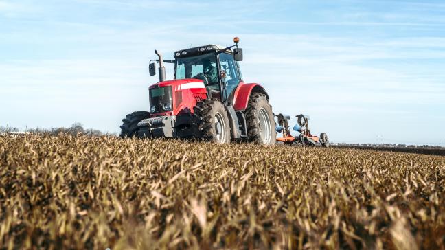 Pour 2024-2025, la production céréalière de l’UE est estimée à 260,9 millions de tonnes, soit environ 7 %  de moins que la moyenne quinquennale.