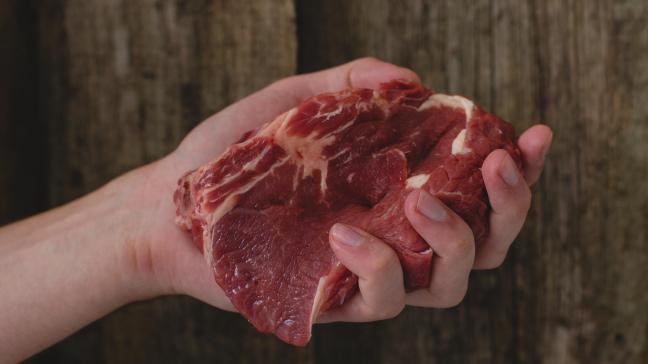 Le think tank Farm Europe a lancé une campagne appelant les Européens à se prononcer pour la protection des dénominations de viande comme c’est le cas depuis 1987 pour le lait et les produits laitiers.
