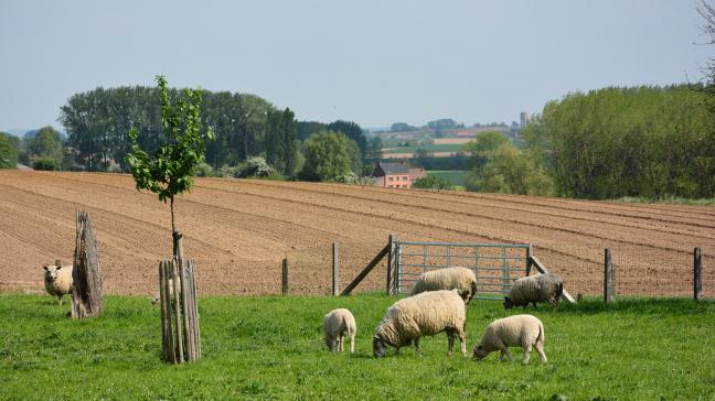 La Fugea dénonce un manque d’écoute vis-à-vis des éleveurs.