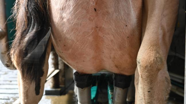Une augmentation de 15,8millions de tonnes si l’on se réfère à 2013.