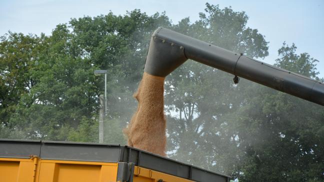L’essor de la production de blé  en Asie a plus que compensé les fortes baisses relevées chez les principaux producteurs européens.
