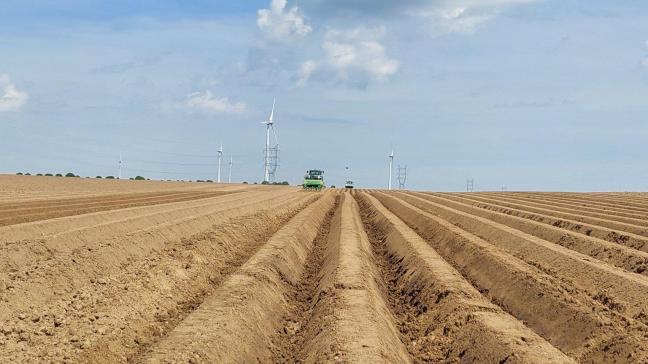 Dans l’ensemble, les coûts de production de 2024 ont été plus élevés que ceux de 2023.