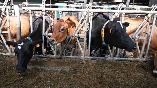 Les producteurs laitiers ont réalisé ces dernières années d’importants efforts dans divers domaines, comme le bien-être animal, l’énergie, l’environnement, le climat ou encore la gestion del’eau.