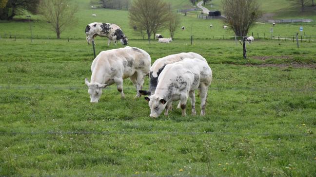 En 2023, malgré cette disparition, 311nouveaux agriculteurs se sont installés en Wallonie et parmi ceux-ci 78% sont des jeunes, c’est-à-dire âgé de moins de 41ans.