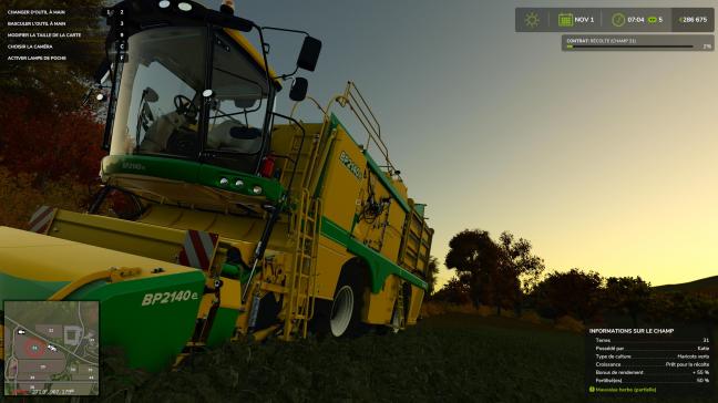 Lever de soleil dans le champ de haricots avant de démarrer  la récolte.