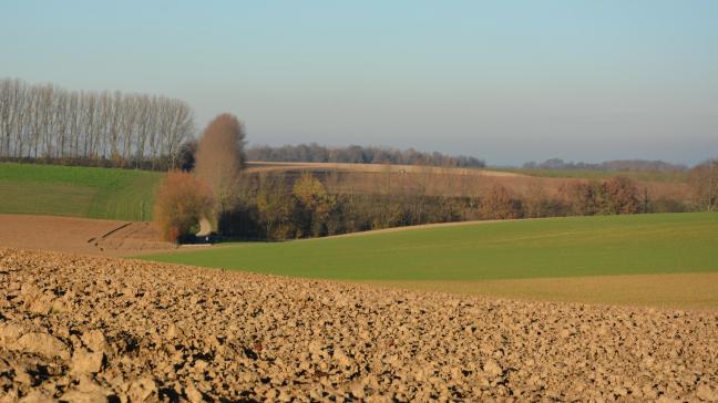 Les nouveaux coefficients sont applicables aux baux  à ferme dont la date anniversaire est postérieure  au 31 décembre 2024 (soit depuis le 1 er  janvier 2025).
