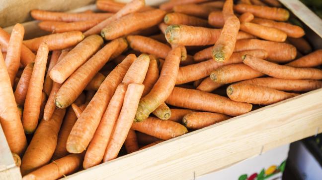 high-angle-view-orange-carrot-crate-vegetable-market