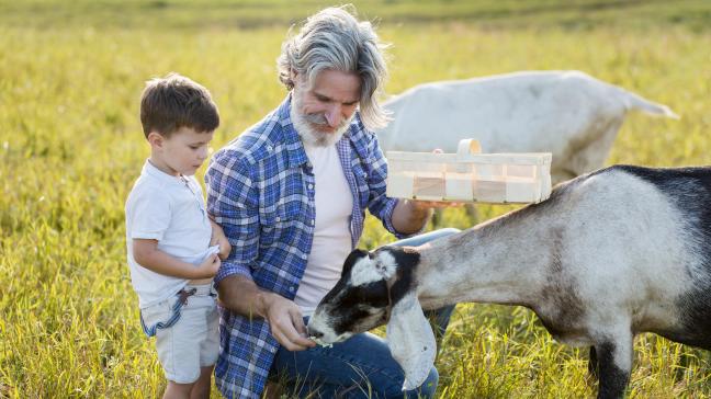 grandpa-little-boy-feeding-goat