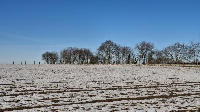 L’article 54 de la loi sur le bail à ferme impose une sorte de « délai d’épreuve » imposant au préempteur d’exploiter lui-même la parcelle, à titre personnel, effectif et continu.