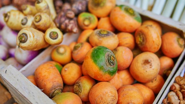 AdobeStock_442428654