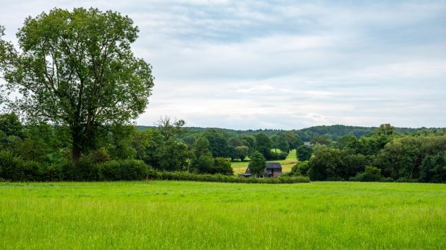 AdobeStock_962166691