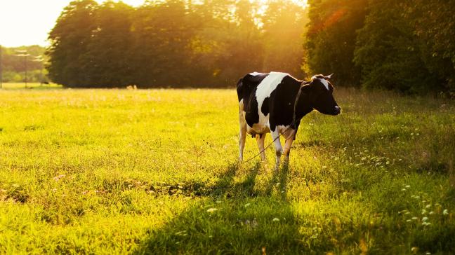Ce que nous réserve l’avenir : une hausse des précipations en hiver et un déficit hydrique en été. Il va donc falloir composer avec ces changements.