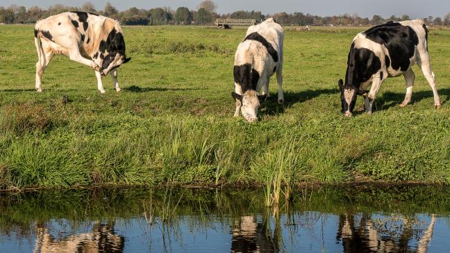 En 2021, seulement 39,5% des masses d’eau de surface en Europe étaient en bon état écologique.
