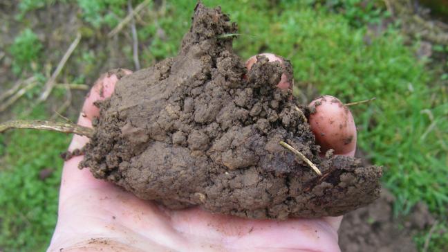 En serrant une poignée de terre dans la main, les doigts laissent leur empreinte. La terre humide se comporte comme une pâte. La travailler convient pour faire des briques ou de la poterie...mais pas du jardinage.