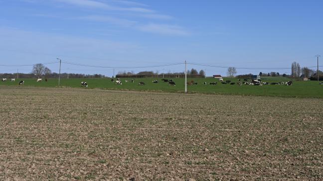 Après l’évacuation du bien, l’exploitation personnelle doit être assumée dans un délai de six mois, sur les parcelles concernées par le congé. Elle doit également être effective et continue durant neuf ans.