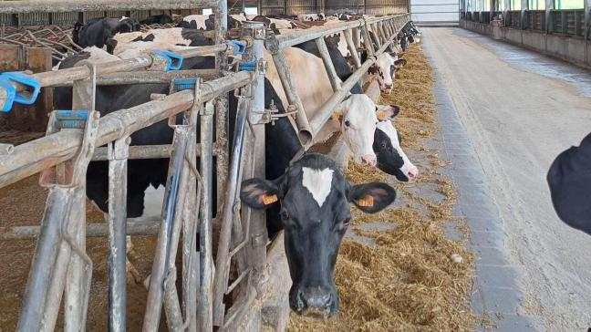 Des jours à l’école et à la ferme.