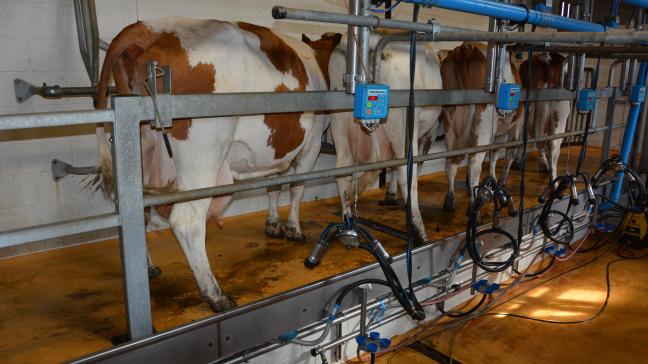 Bien que la FCO ait eu un impact sur la production laitière moyenne par exploitation, celle-ci s’affiche en hausse, à 541.201l.
