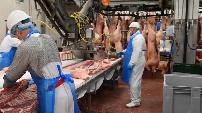 Avec une capacité de 15.000 bêtes, ce site prend en charge l’abattage, la découpe, mais également les préparations de viande pour certains clients.