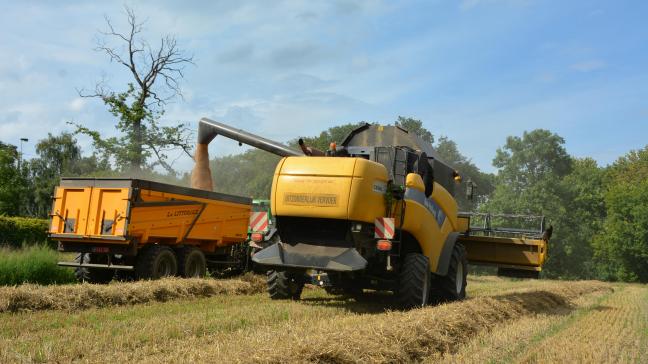 Pour les variétés de blé panifiables, l’humidité et le poids à l’hl doivent être déterminées avant la récolte, en accord bilatéral.