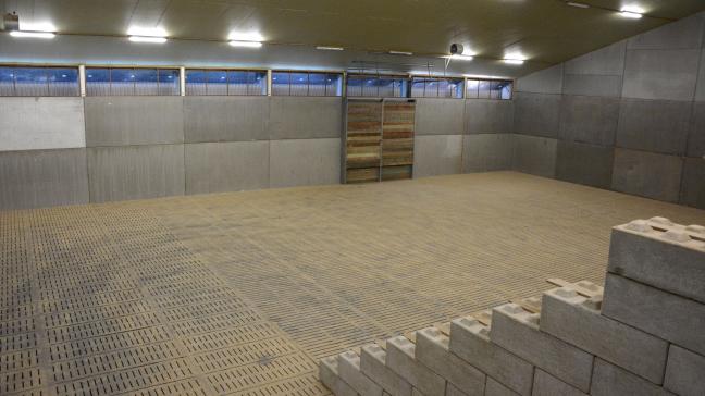 Alors que quelques hangars montraient encore des résidus de Cipc supérieurs à 0,01 mg/kg en 2023-2024,  cela n’a pas été le cas pour la saison 2024-2025.