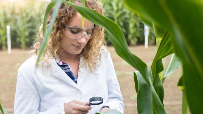 Les bénéficiaires de ces bourses sont des diplômés de l'enseignement universitaire, avec une orientation claire vers la recherche, dans l'industrie et dans l'agriculture.