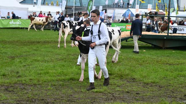 98animaux sont inscrits pour le concours Holstein, avec, à midi, le Showmanship, ouvert aux jeunes de 5 à 25ans,