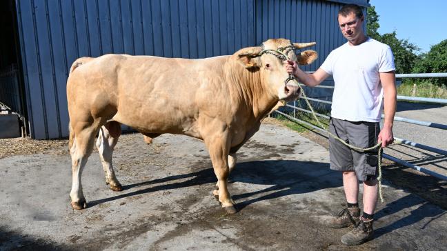 Habitué des concours, l’éleveur a présenté ses animaux à Bogaarden, à Battice en 2023 et prévoit d’y revenir cette année. Agribex faisait aussi partie de ses rendez-vous incontournables.