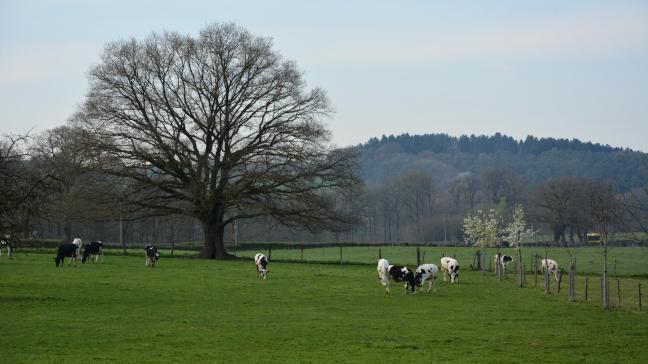 DSC_4590