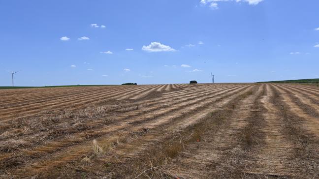 La notion de prépondérance ne sera à examiner que si le preneur, à qui le congé est notifié, est exploitant agricole à titre principal. Dans ce cas, l’activité agricole du bénéficiaire du congé devra, elle aussi, présenter un caractère prépondérant par rapport à toute autre activité professionnelle éventuelle.
