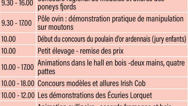 35-programme-battice-dimanche