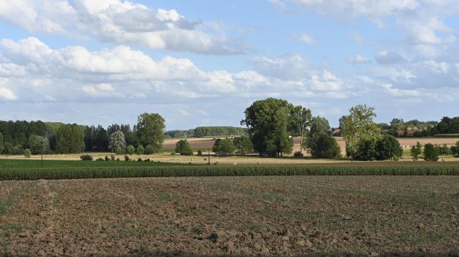 Pour la notification d’un congé, il apparaît que «le bon vieux courrier recommandé» reste à privilégier, idéalement avec accusé de réception. Il est sûr et peu coûteux. L’exploit d’huissier est sûr aussi mais nettement plus coûteux.