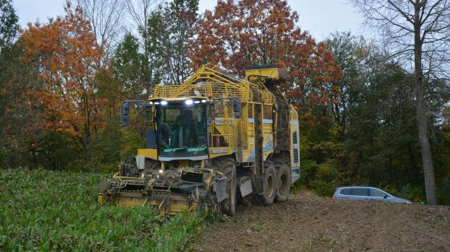 La Cbb s’attend à une campagne avec de bons rendements, des taux de sucre élevés et une excellente qualité.