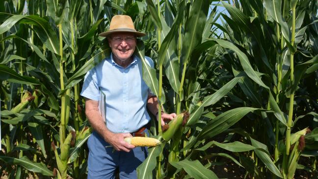 Pour les semis 2026, Pierre Claerhout intègre la variété Cabestro à son catalogue,  avec un rendement en grains de 14.504 kg/ha à 15 % d’humidité  dans le réseau probatoire du Cipf, en 2024.
