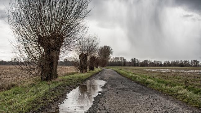La demande doit être introduite au plus tard le 10 octobre, accompagnée des procès-verbaux de constat et, le cas échéant, d’une copie du contrat d’assurance climatique.