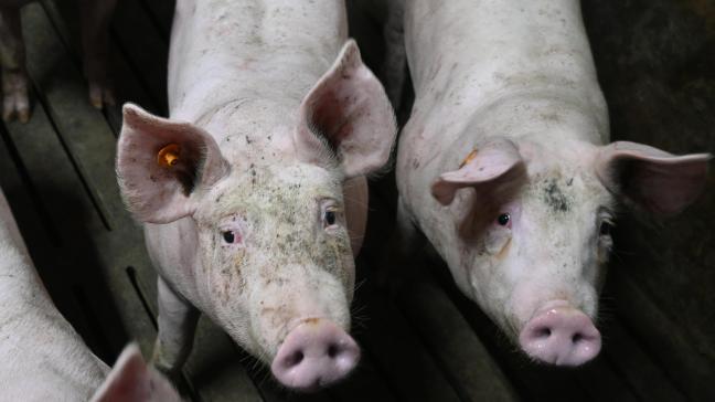 Le recours aux engrais RENURE est toutefois soumis à certaines condition, comme un maximum 80kg d