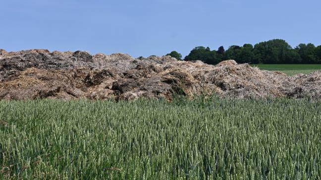 Dans certaines régions, comme la Hesbaye,  « le fumier devient rare », alerte un exploitant.