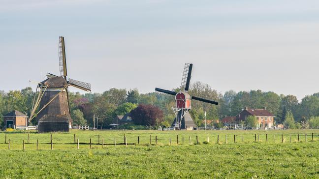 Les députéss veulent que le paiement unique annuel pour les petits agriculteurs  passe à 5.000  € contre 2.500 € dans la proposition de la commission.