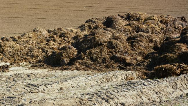 Le texte, qui amende la directive Nitrates, va maintenant être soumis à l’examen  du parlement européen et du conseil qui disposent de trois mois pour se prononcer.