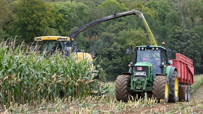 Pour les variétés précoces en Ardenne, il est encore nécessaire d’attendre puisque le seuil de 30% M.S. n’est atteint que dans les meilleures situations.