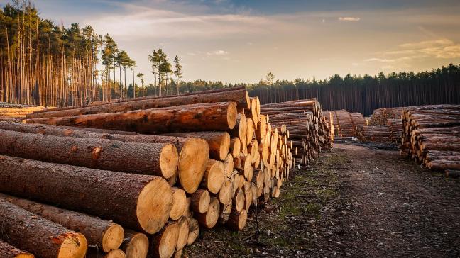 Le géant de l'agroalimentaire Mondelez avait déjà demandé  un nouveau report, pointant  les difficultés  du secteur  du cacao.