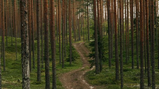 Pour Yvan Verougstraete, « la simplification,  c’est réduire la charge bureaucratique  sans affaiblir l’objectif politique ».