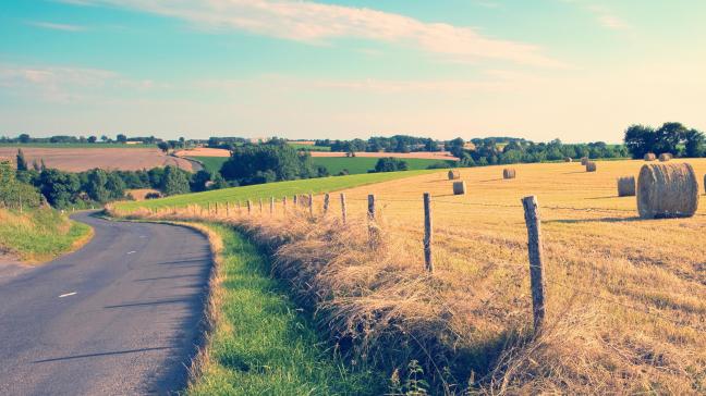 AdobeStock_403177783