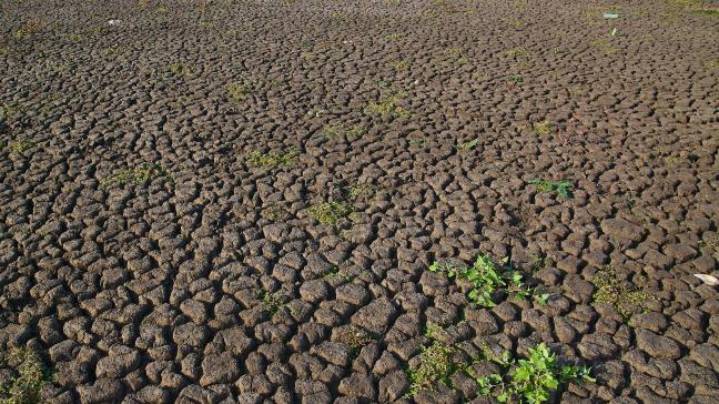 Sur le plan nutritionnel, les volumes perdus correspondent globalement à 320 kilocalories par personne et par jour, l’équivalent de 13-16% des besoins quotidiens.