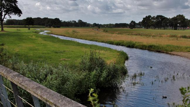 Des eurodéputés craignent que des structures extérieures au secteur agricole achètent des terres pour obtenir des crédits nature ajoutant une pression sur le foncier.