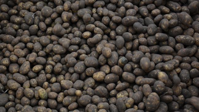 Le complément apporté concerne notamment la réglementation relative à la négociation à distance.