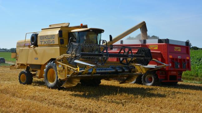 La production mondiale de céréales devrait s’établir à 2.430 mt pour  la campagne 2025/2026.