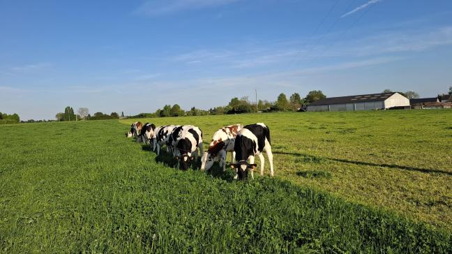 Valoriser l’herbe de ses prairies, c’est la considérer comme un flux permanent et variable.