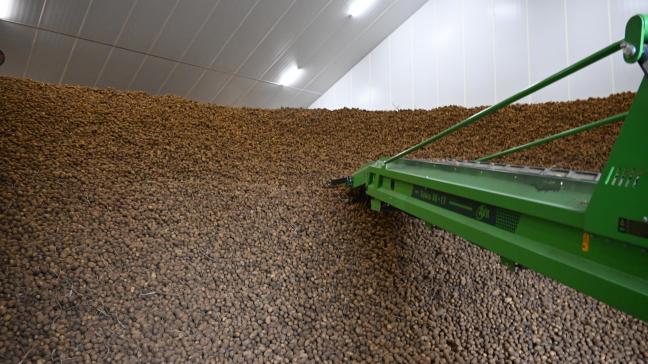 Les quantités livrées sous contrat sont plus élevées que la moyenne des 3 dernières années (+30 %), tandis que les volumes livrés en libre sont moins élevés (-30 %).