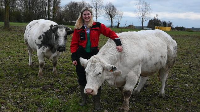 Léonie avec Lucide, la mère d’Officier des Princes de Ligne. Il s’agit d’une des premières vaches nées sans corne au sein de la ferme.