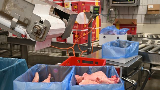 Le marché chinois demeure économiquement important pour le secteur de la viande porcine.